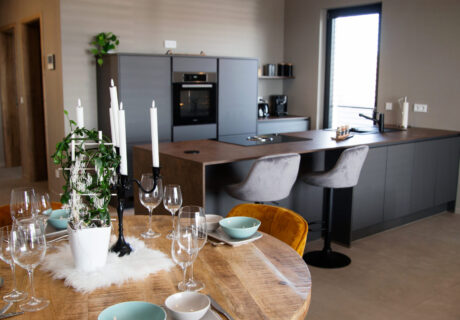 Penthouse Jikan