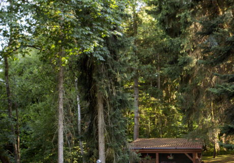 Relax-Forest
