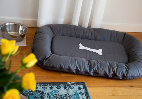 Venus Suite