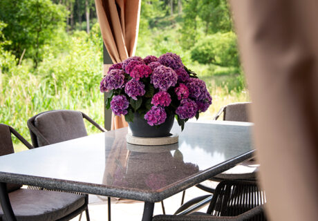 Chalet Moulin