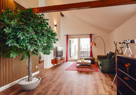 Forest Suite