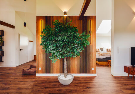 Forest Suite