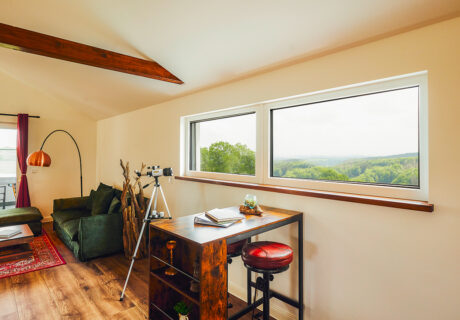 Forest Suite