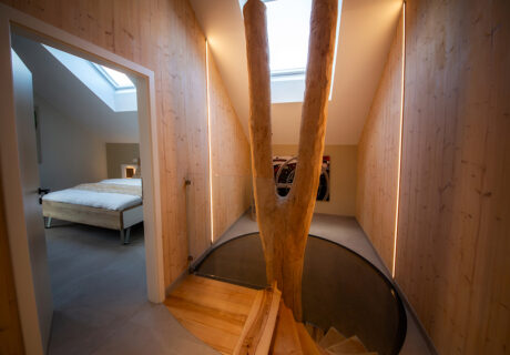 Suite Alpine