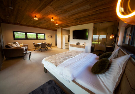 Suite One Zero One