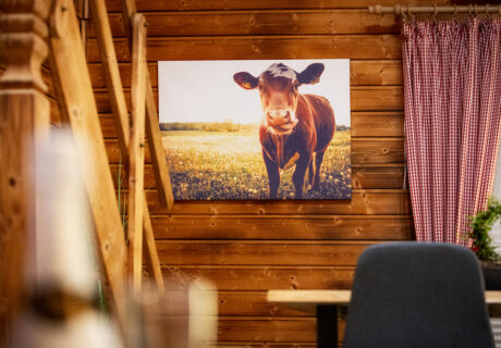 Eifel Chalet