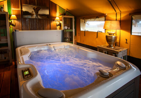 Hatari Lodge
