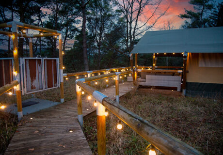 Hatari Lodge