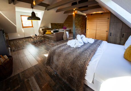 Old Chalet Suite