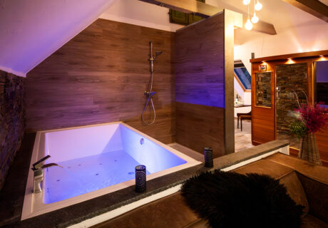Old Chalet Suite