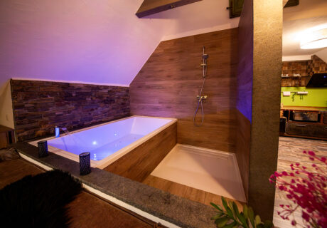 Old Chalet Suite