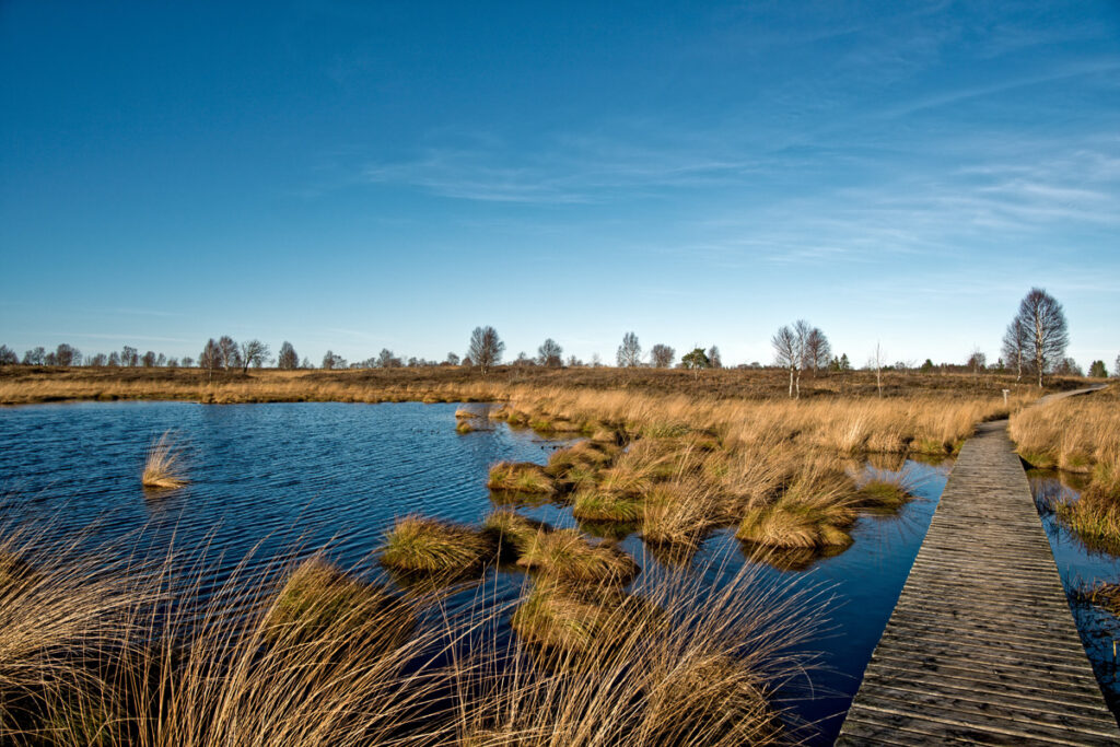 Eifel,Hohes,Venn,Water,Waterfall,Sky